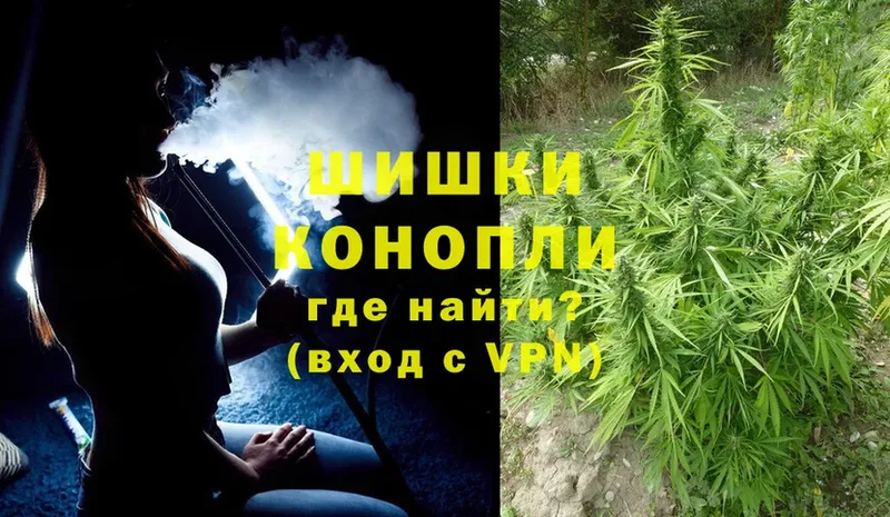 как найти закладки  Тотьма  Бошки Шишки Ganja 